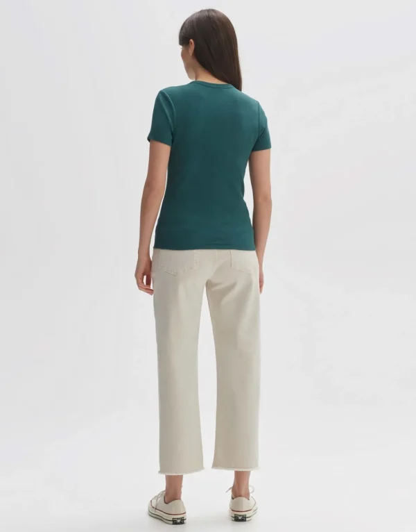 Frau someday Fashion Shirts>T-Shirt Samuna